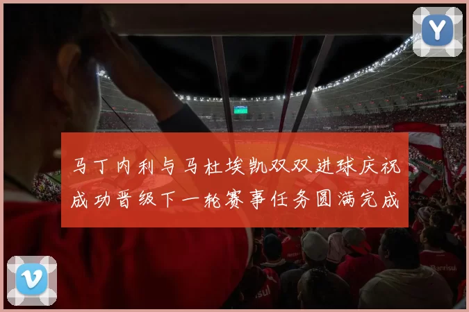 马丁内利与马杜埃凯双双进球庆祝成功晋级下一轮赛事任务圆满完成