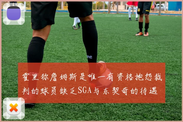 霍里称詹姆斯是唯一有资格抱怨裁判的球员缺乏SGA与东契奇的待遇