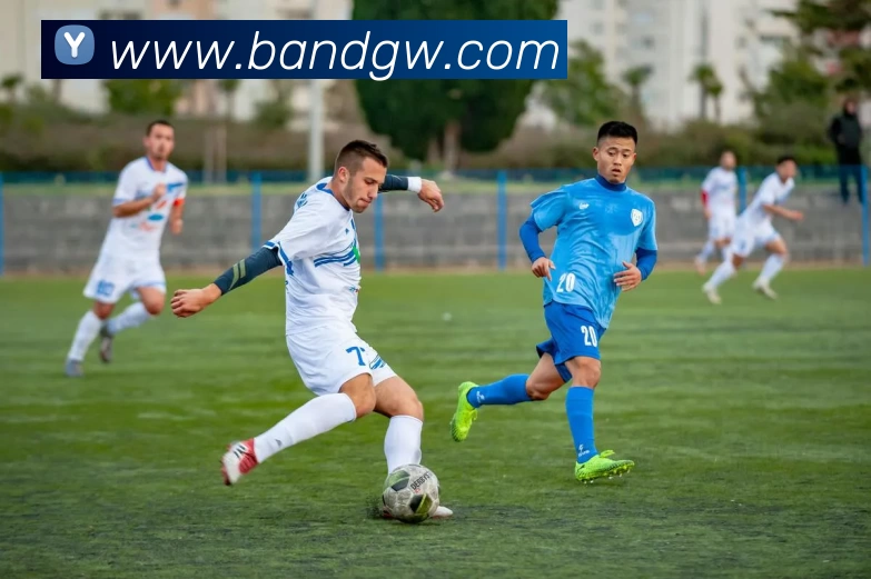 半岛体育官方APP 封面图